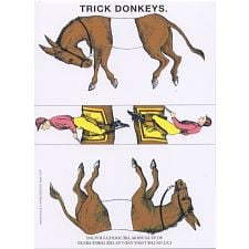 Famous Trick Donkeys - Large Commemorative Edition