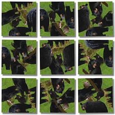 Scramble Squares - Black Bears (B. Dazzle Inc. 783350101381) photo
