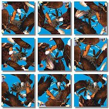 Scramble Squares - Bald Eagles (B. Dazzle Inc. 783350100971) photo