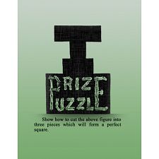 T Prize Puzzle (Sam Loyd 77090907244494) photo