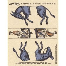 Famous Trick Donkeys - Color - Postcard - English - Blue
