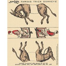 Famous Trick Donkeys - Color - Postcard - English