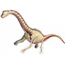 4D Vision - Brachiosaurus Anatomy Model - 