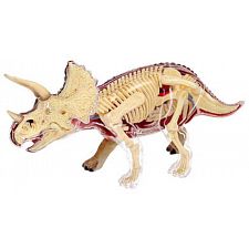 4D Vision - Triceratops Anatomy Model