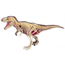 4D Vision - T-Rex Anatomy Model - 