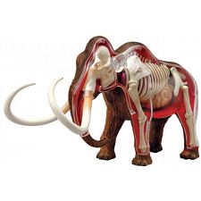 4D Vision - Woolly Mammoth Anatomy Model