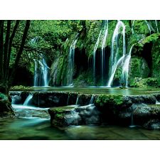 Magic Forests: Cascades