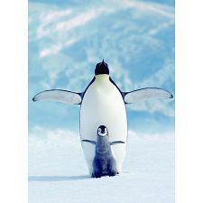 Penguin & Chick (Eurographics 628136612463) photo