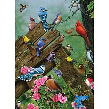 Birds of the Forest