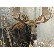 Bull Moose - Large Piece (Cobble Hill 625012450515) photo
