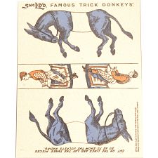 Famous Trick Donkeys - Color - English - Blue - 