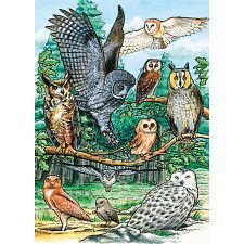North American Owls - Tray Puzzle (Cobble Hill 625012588102) photo