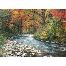 Forest Stream (Eurographics 628136621328) photo