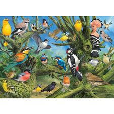 Garden Birds