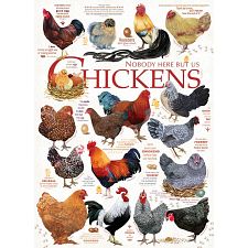 Chicken Quotes
