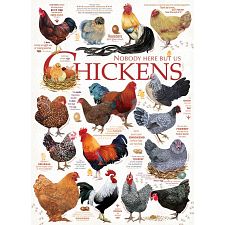 Chicken Quotes - 