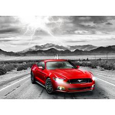2015 Ford Mustang GT: Fifty Years of Power (Eurographics 628136607025) photo