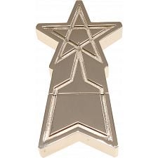 SSSP Emblem Shooting Star