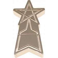 SSSP Emblem Shooting Star - 