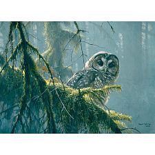 Mossy Branches : Spotted Owl - Large Piece - 