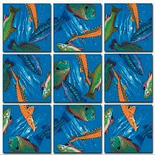 Scramble Squares - Freshwater Fish