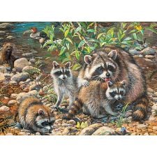 Racoon Family - Family Pieces Puzzle - 