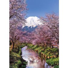 Fuji Mountain - 
