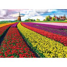 Tulip Fields (Eurographics 628136653268) photo