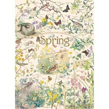Spring - 