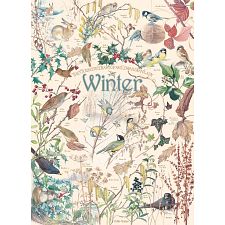 Country Diary: Winter