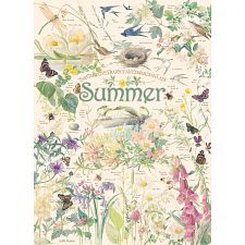 Summer - 