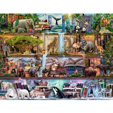 Wild Kingdom Shelves