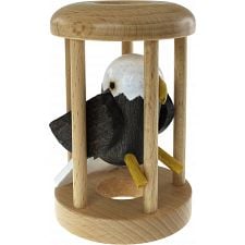 American Eagle in a Cage - 