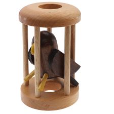 Brown Eagle in a Cage