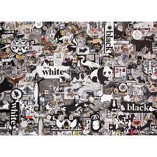 Black & White: Animals