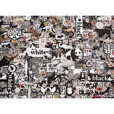 Black & White: Animals - 