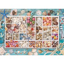 Seashell Collection (Eurographics 628136655293) photo