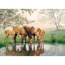 Horse Family - Family Pieces Puzzle