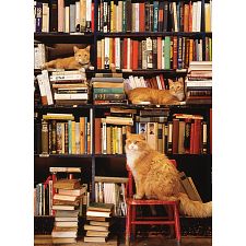 Gotham Bookstore Cats - Large Piece
