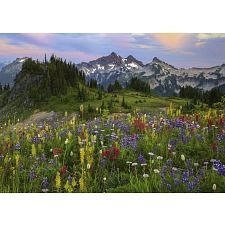 AVH Edition: Tatoosh Mountains