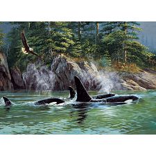 Orcas (Cobble Hill 625012401838) photo