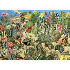 Cactus Garden
