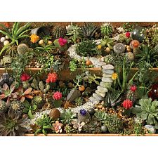 Succulent Garden