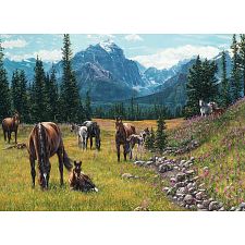 Horse Meadow - 