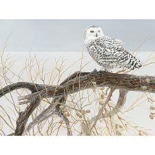 Fallen Willow Snowy Owl - Large Piece (Cobble Hill 625012450508) photo