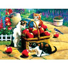 We Found A Bumper Crop