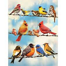 Birds On A Wire - Large Piece (Cobble Hill 625012450461) photo