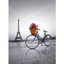 Romantic Promenade in Paris