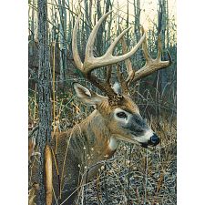 White-Tailed Deer (Cobble Hill 625012801348) photo