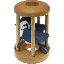 Blue Jay in a Cage - 